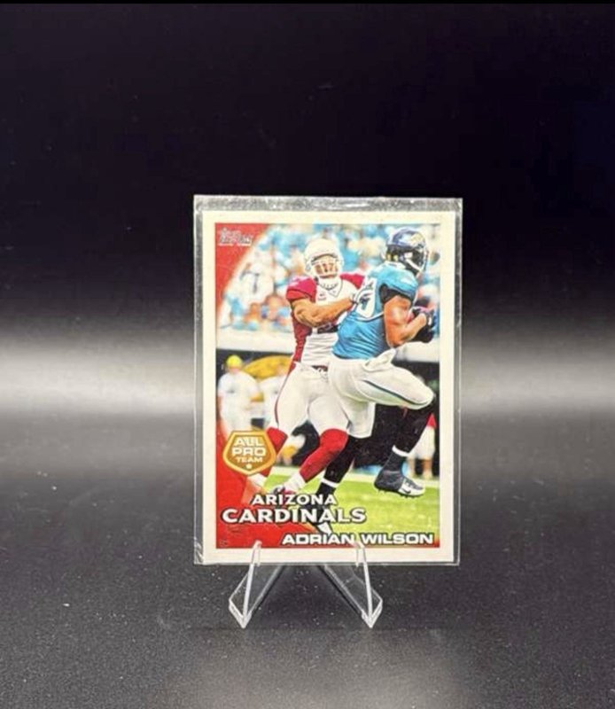 Adrian Wilson 2010 Topps #229