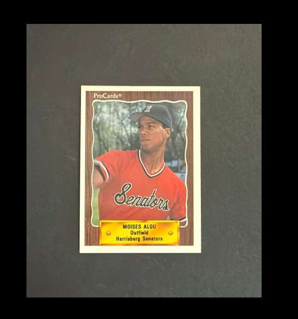 ProCards Moises Alou 1990 #790 RC