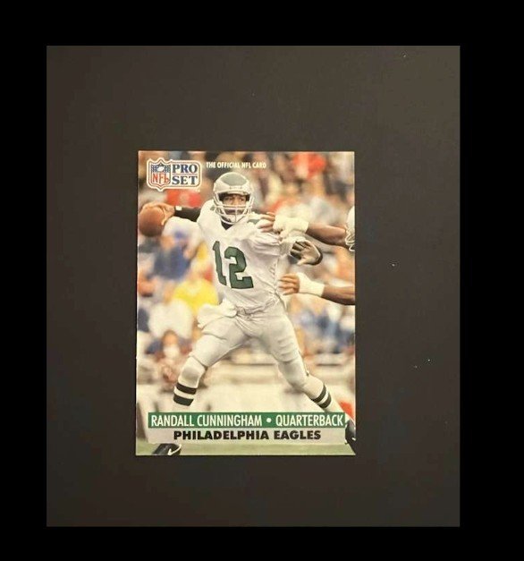 Randall Cunningham 1991 Pro Set #256