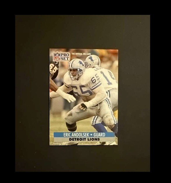 Eric Andolsek 1991 Pro Set #145