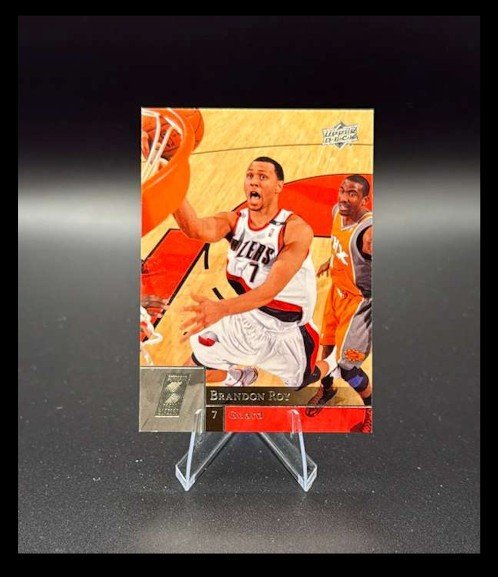 Brandon Roy 2009-10 Upper Deck #159