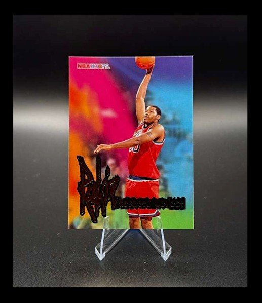 Rasheed Wallace 1995-96 Hoops #290 RC